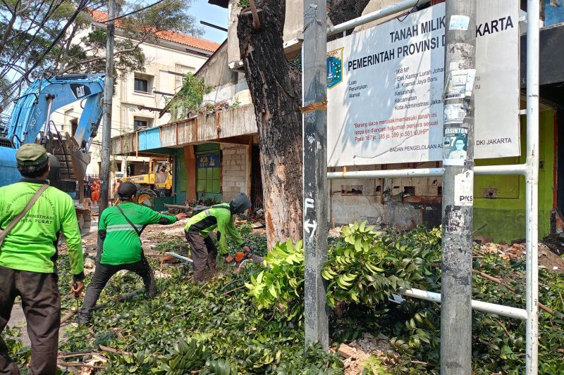 Pengenalan Urban Farming di Ruang Terbuka Hijau Jakarta