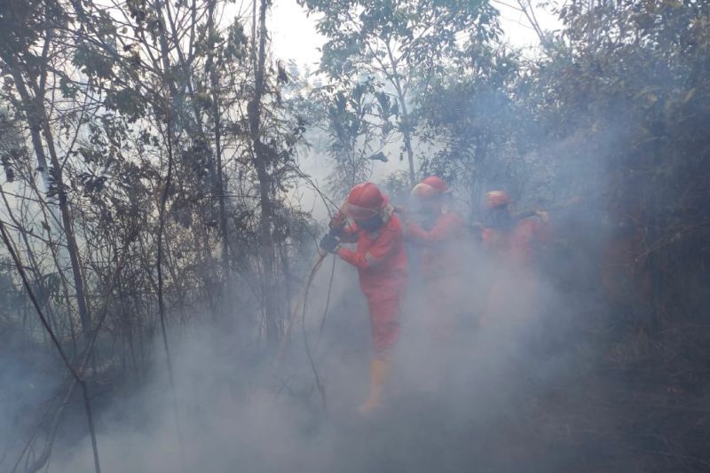 Dua Helikopter Dikerahkan untuk Atasi Karhutla di Sumsel