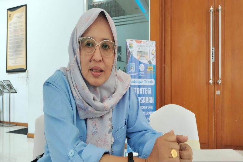 Kepala Dinas Koperasi, Usaha Kecil dan Menengah Kabupaten Sleman Tina Hastani. ANTARA/Sutarmi