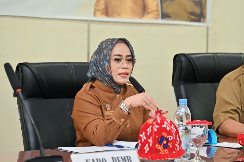 Sekretaris Daerah Provinsi Sulteng Novalina menyampaikan arahan dalam rapat koordinasi pelaporan dan evaluasi realisasi Anggaran Pendapatan Belanja Daerah (APBD) 12 kabupaten dan satu kota di Sulteng, berlangsung di Kantor Gubernur Sulteng, di Kota Palu, Senin (20/11/2023) (ANTARA/HO-Biro Administrasi Pimpinan Setda Pemprov Sulteng)