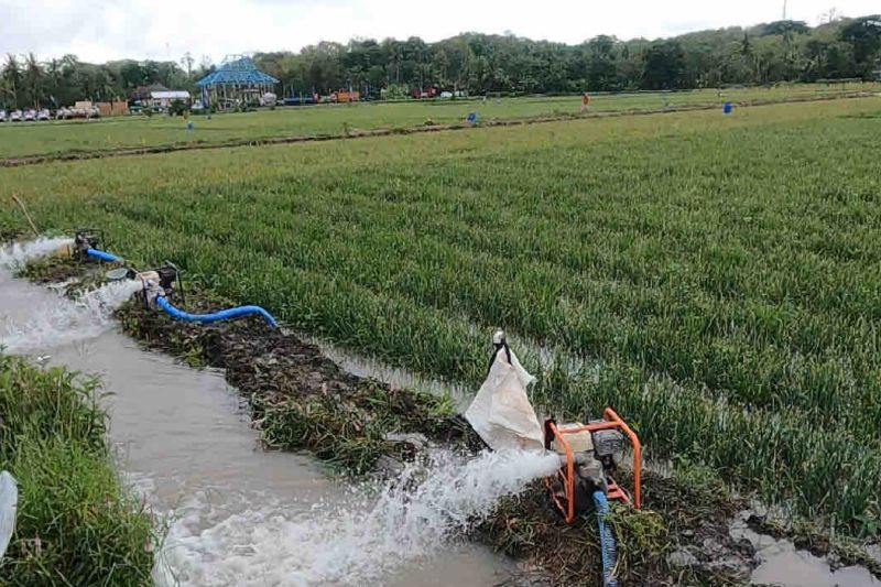 Ilustrasi - Pompa air mengairi ladang sawah. ANTARA/HO-Humas Kementan