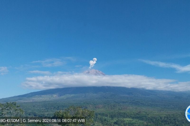 Gunung Semeru Erupsi Berkali-kali dengan Tinggi 800 Meter
