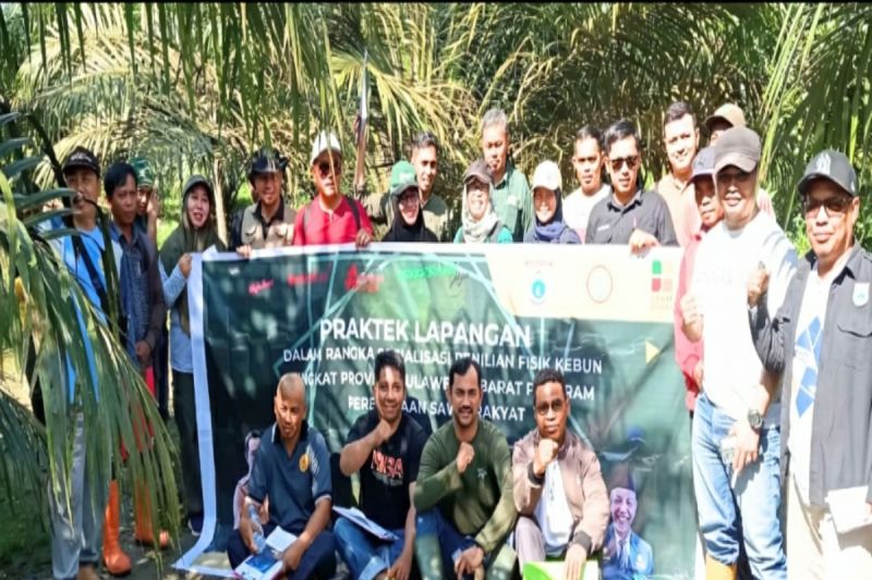 Program PSR Tingkatkan Kesejahteraan Petani Sawit Sulbar