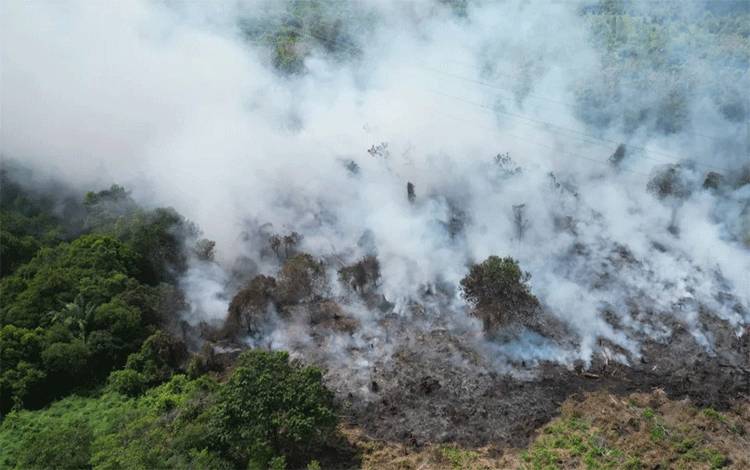 Perangi Karhutla Gencarkan Sosialisasi, BPBD Kotim: Lebih Baik Mencegah
