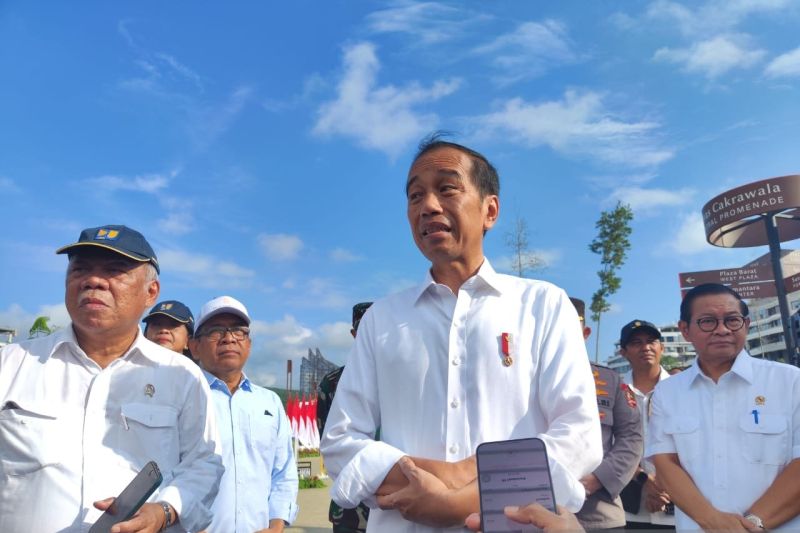 Pemerintah Indonesia Utamakan Investor Domestik di IKN
