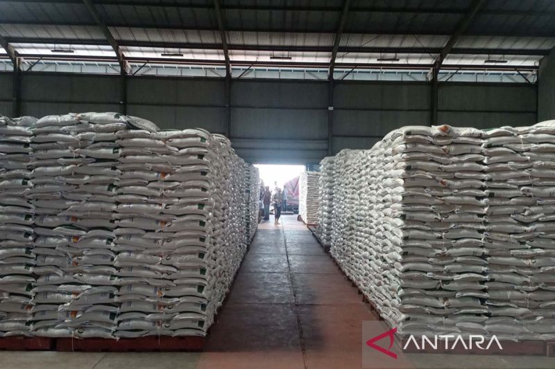 Penyerapan Gabah Hasil Panen Petani Banyumas Meningkat