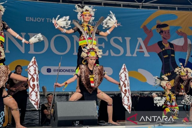 Ilustrasi - Tari kolosal Natana Borneo merupakan persembahan Kaltim untuk HUT RI di IKN. (ANTARA/HO-Yayasan Gubang Kutai Kartanegara)