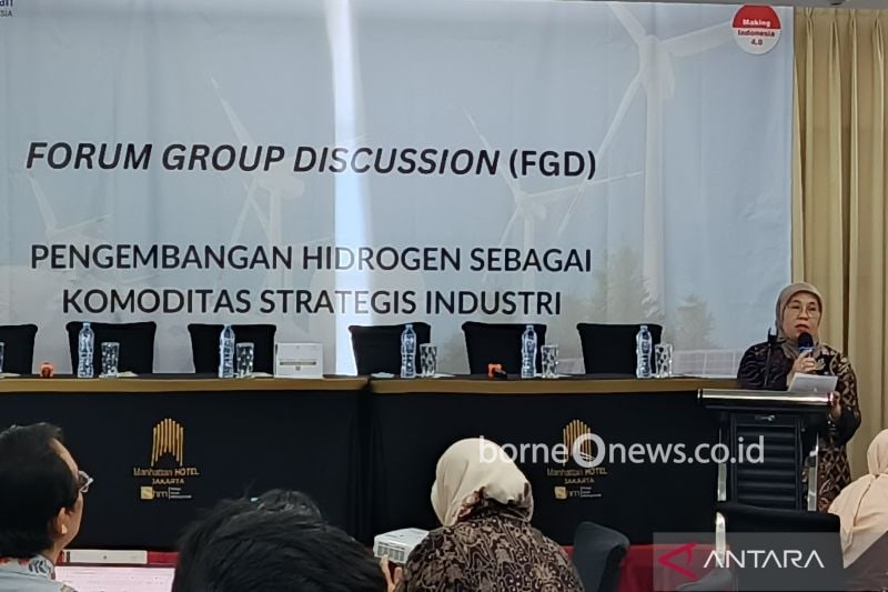 Plt Direktur Jenderal Industri Kimia, Farmasi, dan Tekstil (IKFT) Kemenperin Reni Yanita dalam sebuah diskusi di Jakarta, Kamis (15/8/2024). ANTARA/Muzdaffar Fauzan