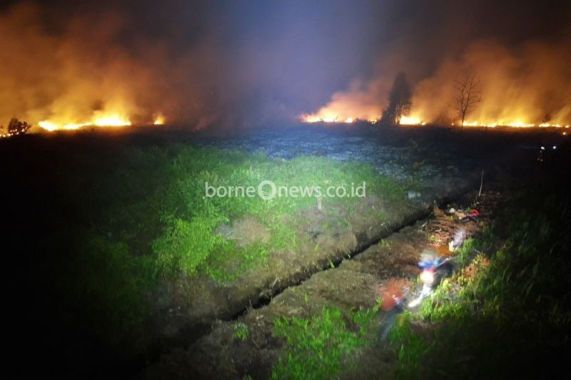 Kebakaran lahan di Jalan Lingkar Utara, Sampit, Selasa (13/8/2024). (ANTARA/HO-BPBD Kotim)