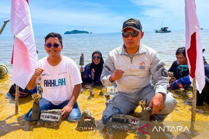 Pemasangan terumbu karang ke batu. (ANTARA/Muhamad Nurman)