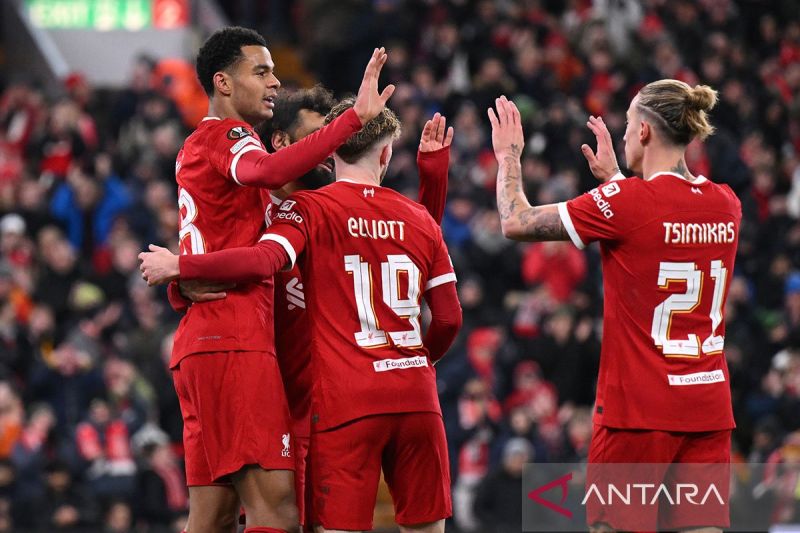 Cody Gakpo Yakin Menjadi Penyerang Sayap Kiri Liverpool Musim 2024-2025