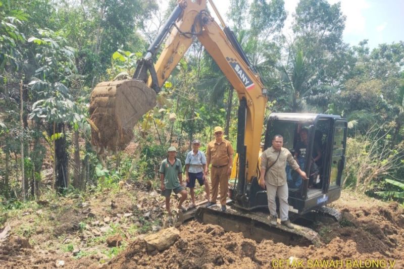 Cetak Sawah Baru 4,7 Hektare di Kulon Progo Tingkatkan Ketahanan Pangan