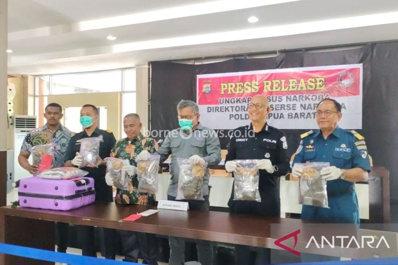 Polda Papua Barat gagalkan peredaran ganja 1,7 kilogram di Manokwari