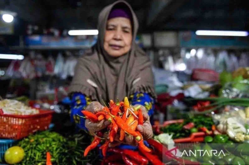 Arsip foto - Pedagang menunjukkan cabai rawit yang dijual di Pasar Kosambi, Bandung, Jawa Barat, Senin (29/7/2024). ANTARA FOTO/Raisan Al Farisi/aww/aa.