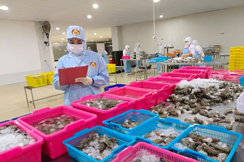 Dorong Hilirisasi Perikanan, Kaltara Kembangkan UMKM dan Nelayan