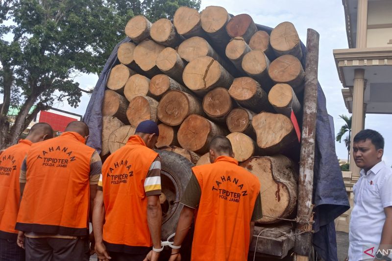 Empat tersangka pelaku penebangan liar yang ditahan Polda Jambi, Kamis (15/8/2024). ANTARA/Tuyani.