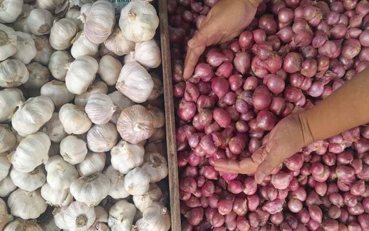 Bawang (Foto:MARINI)