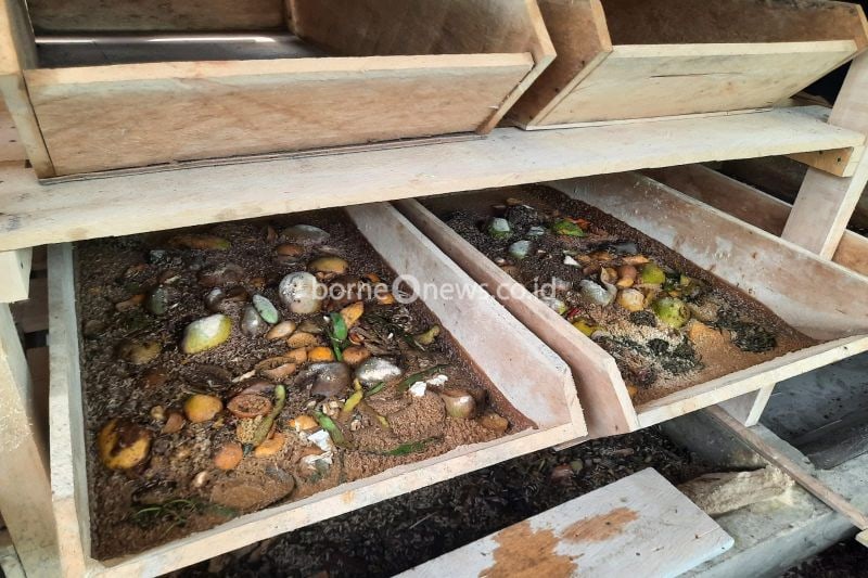 Pertamina bantu pengelolaan sampah organik di Kota Jambi melalui Program Apartemen Maggot 21