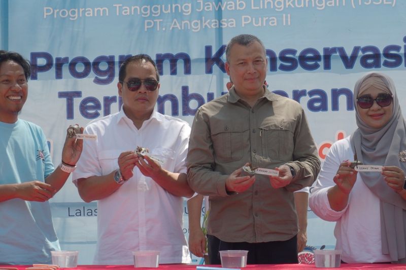 Angkasa Pura II Lestarikan Terumbu Karang di Tanjung Lesung