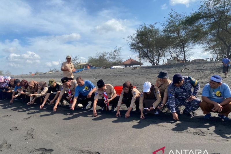 Saka Bahari Kulon Progo lepas 150 ekor tukik di Pantai Bugel