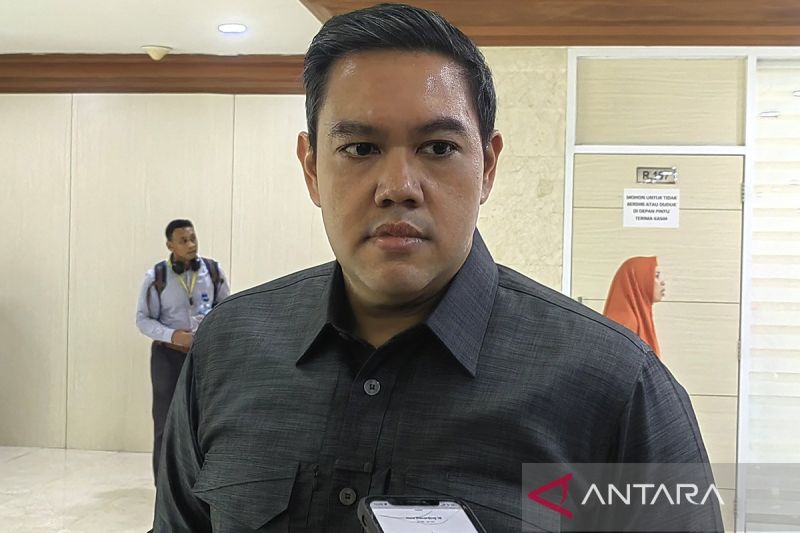 Wacana Pembentukan Angkatan Siber Perlu Penjelasan Jelas