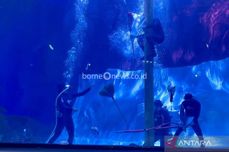 Petualangan Fan-sea Paradise Rayakan HUT RI ke-79 di JAQS
