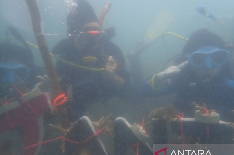 Perum LKBN ANTARA Kibarkan Bendera Merah Putih di Pulau Putri
