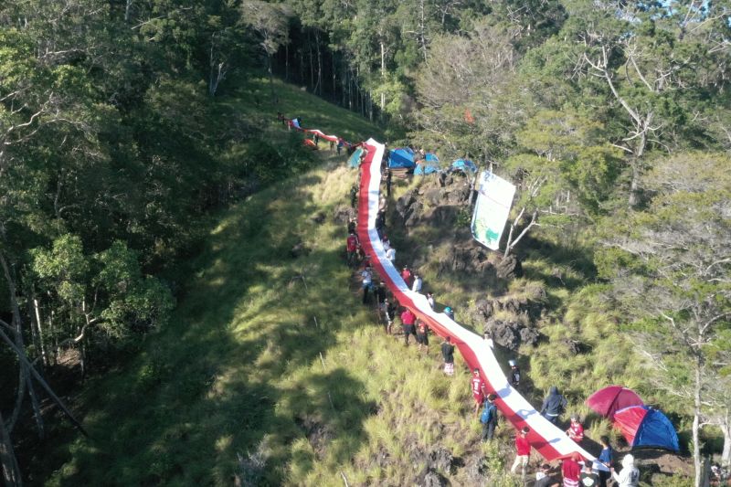 Pengibaran Bendera Merah Putih di Puncak Padang Kuku Buton, Sulawesi Tenggara, Sabtu (17/8/2024). ANTARA/HO-BKSDA Sultra)