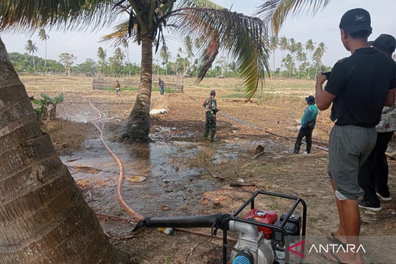 Melindungi 260 Hektare Sawah di Mukomuko dari Alih Fungsi