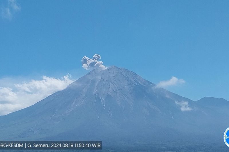 Gunung Semeru erupsi pada Minggu (18/8/2024) pukul 11.49 WIB (ANTARA/HO-PVMBG)