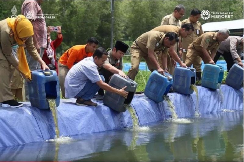 Produksi Perikanan Budidaya Trenggalek Capai 47 Persen pada 2024