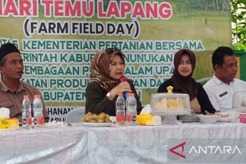Kementan Apresiasi Petani Sebatik yang Tingkatkan Produksi Gabah