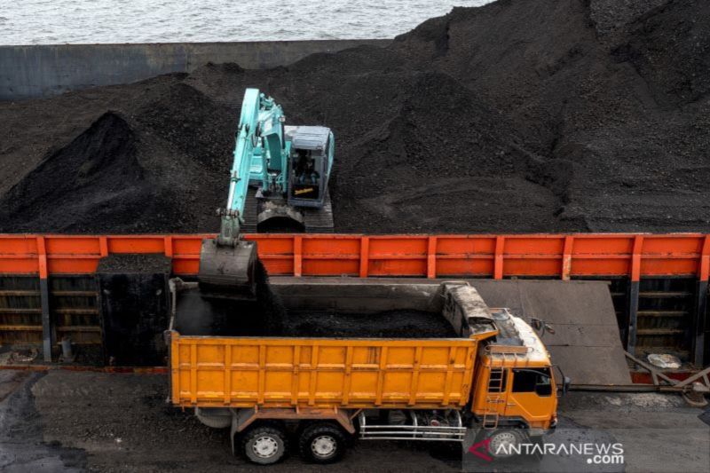 Ilustrasi - Pekerja mengoperasikan alat berat saat bongkar muat batu bara ke dalam truk di Pelabuhan PT Karya Citra Nusantara (KCN), Marunda, Jakarta, Rabu (12/1/2022). ANTARA FOTO/M Risyal Hidayat/pras