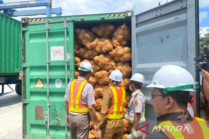 Sultra Ekspor 646 Ton Kelapa ke Tiongkok, Peluang Baru untuk Daerah