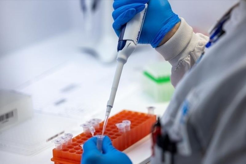 Malaysia Tingkatkan Pengawasan Pintu Masuk Antisipasi Mpox