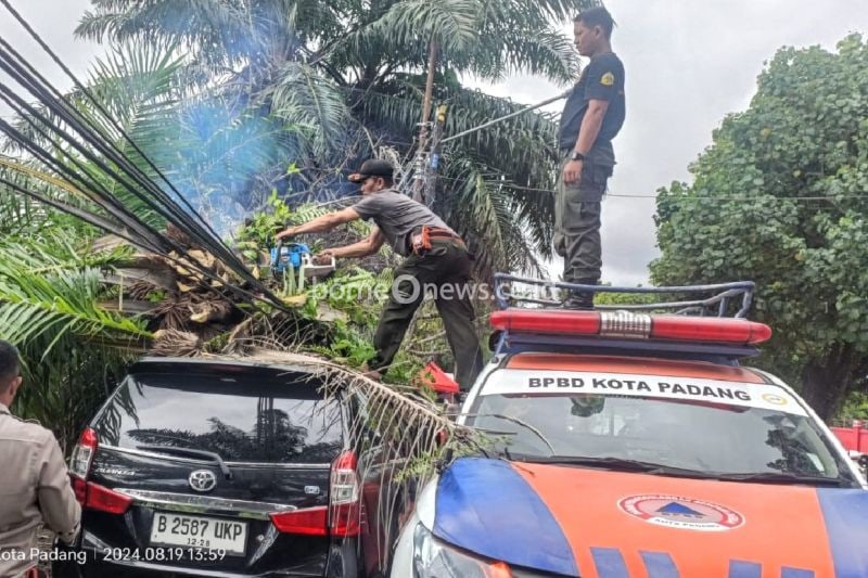 BPBD Padang Evakuasi Mobil Tertimpa Pohon Tumbang di Hujan LeBat