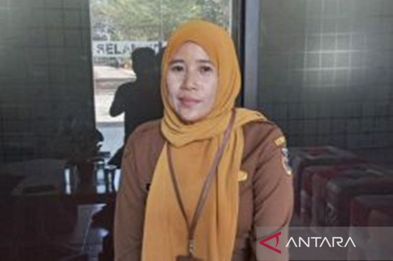 Analis Kepegawaian Muda BKPSDM Tanah Laut Aswatun Hasanah. (ANTARA/Arianto)