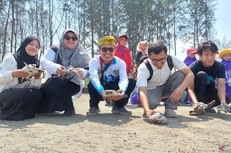 Universitas Bengkulu Dukung Pelestarian Penyu dan Pengelolaan Sampah