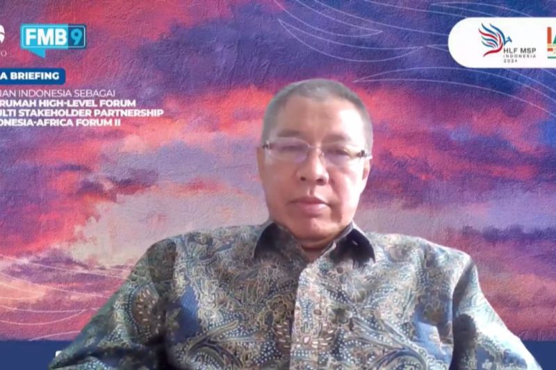 Deputi Bidang Politik, Hukum, Pertahanan dan Keamanan Kementerian Perencanaan Pembangunan Nasional/Badan Perencanaan Pembangunan Nasional (PPN/Bappenas) Bogat Widyatmoko. ANTARA/HO-Bappenas
