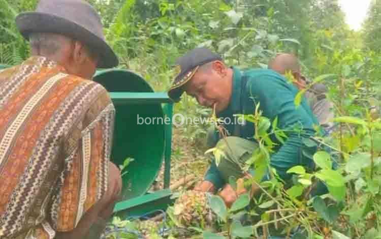BKSDA Sampit Terus Pantau 2 Perangkap untuk Tangkap 5 Beruang Meresahkan Warga