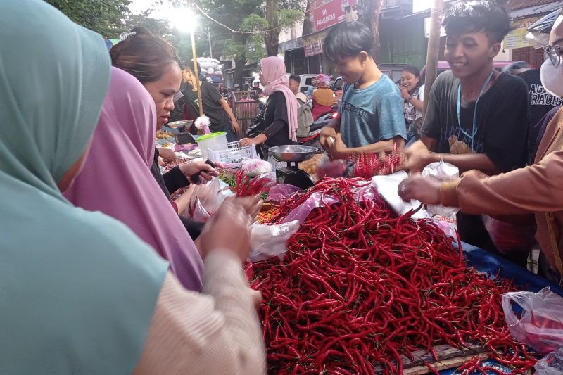 Harga cabai pasar tradisional Rangkasbitung di Kabupaten Lebak mengalami penurunan karena pasokan dari petani relatif normal.ANTARA/Mansur