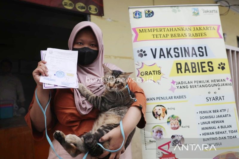Arsip foto - Suku Dinas Ketahanan Pangan, Kelautan dan Pertanian (KPKP) melakukan vaksinasi ke 64 hewan penyebar rabies (HPR) di Kantor RW 05 Kelurahan Johar, Jalan Johar Baru IVA, Jakarta Pusat, Senin (1/7/2024). (ANTARA/HO-Pemerintah Kota Jakarta Pusat)