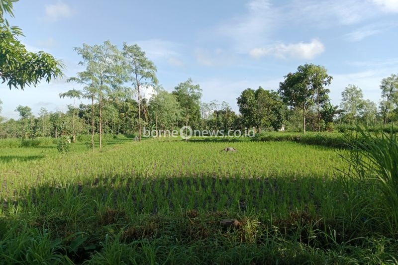 BPN Lombok Tengah Mulai Serahkan Sertifikat PTSL 2024 kepada Warga