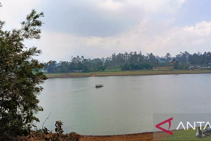 Digitalisasi Sertifikat Tanah, Solusi Mengatasi Mafia Tanah di Indonesia