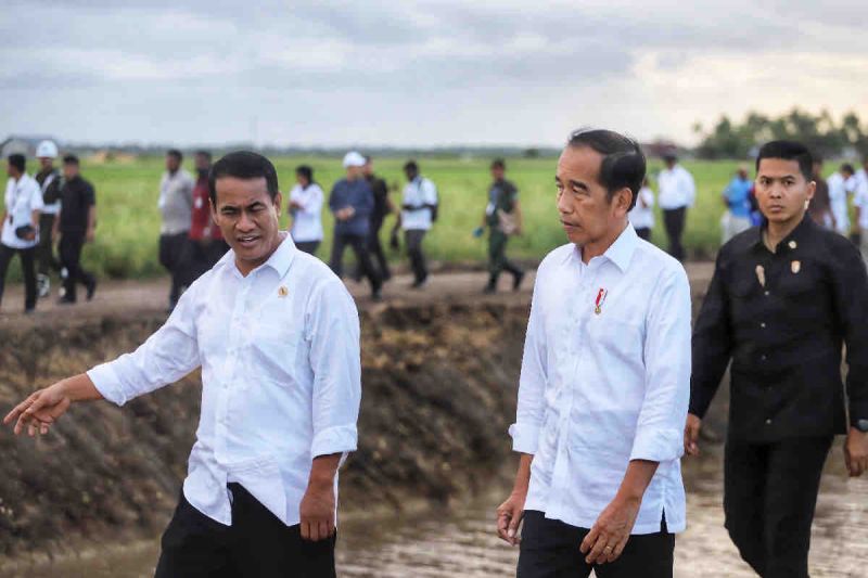 Ilustrasi: Presiden Joko Widodo (kanan), Menteri Pertanian Andi Amran Sulaiman mengunjungi lahan pertanian modern di Distrik Kurik, Kabupaten Merauke, Papua Selatan, Selasa (23/7/2024). ANTARA/HO-Humas Kementan