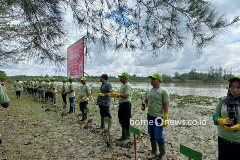 Penanaman simbolis 5.000 pokok bakau bersama Dinas Lingkungan Hidup dan Kebersihan (DLHK) Kabupaten Aceh Barat, Kamis (8/8/2024). ANTARA/HO
