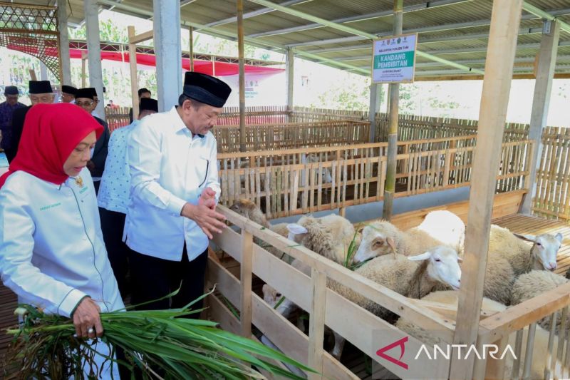 Ketua Baznas RI Noor Achmad (kanan) dan , Pimpinan Baznas RI Bidang Pendistribusian dan Pendayagunaan Saidah Sakwan (kiri) dalam peluncuran Program Balai Ternak Baznas di Desa Bomerto, Kecamatan Wonosobo, Kabupaten Wonosobo, Provinsi Jawa Tengah, Selasa (20/8/2024). ANTARA/HO-Baznas RI