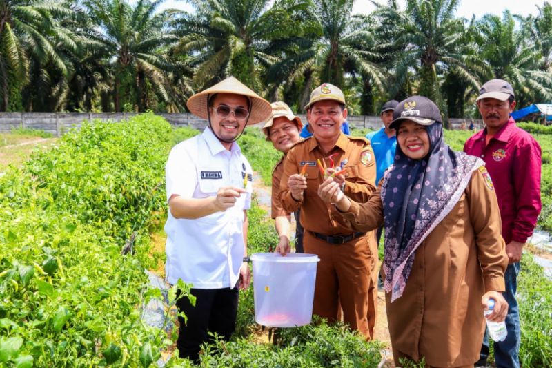 PekabaraU laksanakan simulasi makan bergizi gratis di sekolah