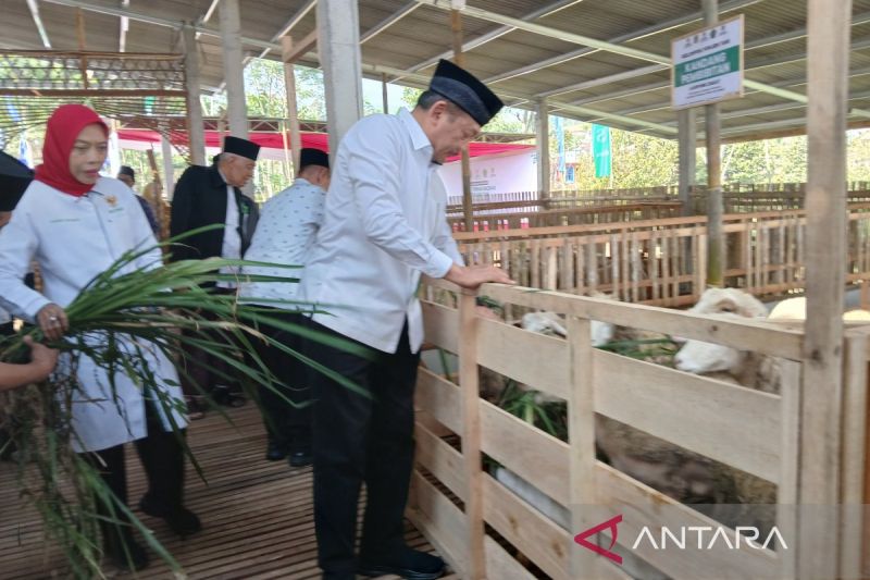 Baznas RI Resmikan Balai Ternak di Wonosobo untuk Tingkatkan Ekonomi