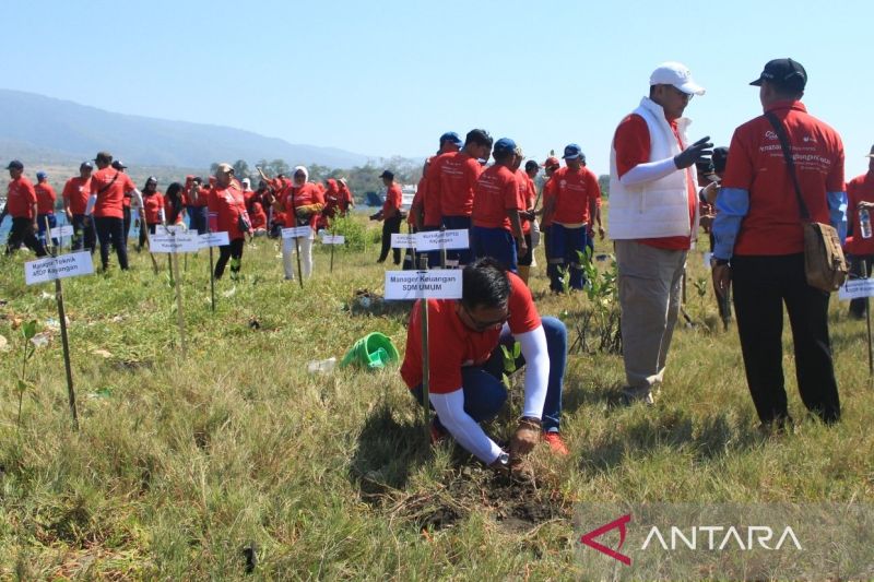ASDP Tanam 2.000 Pohon di Lombok Timur, Dukung Dekarbonisasi
